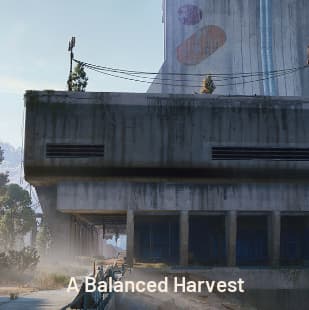 Quest: A Balanced Harvest