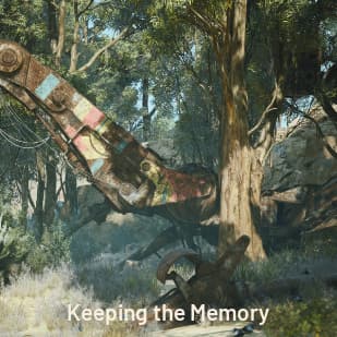 Quest: Keeping the Memory